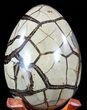 Septarian Dragon Egg Geode - Black Crystals #55491-3